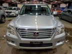 Lot #3305585099 2009 LEXUS LX 570